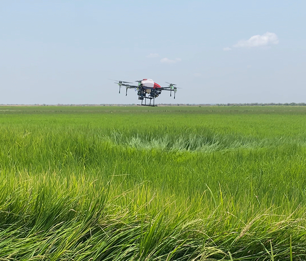 Drone over crops